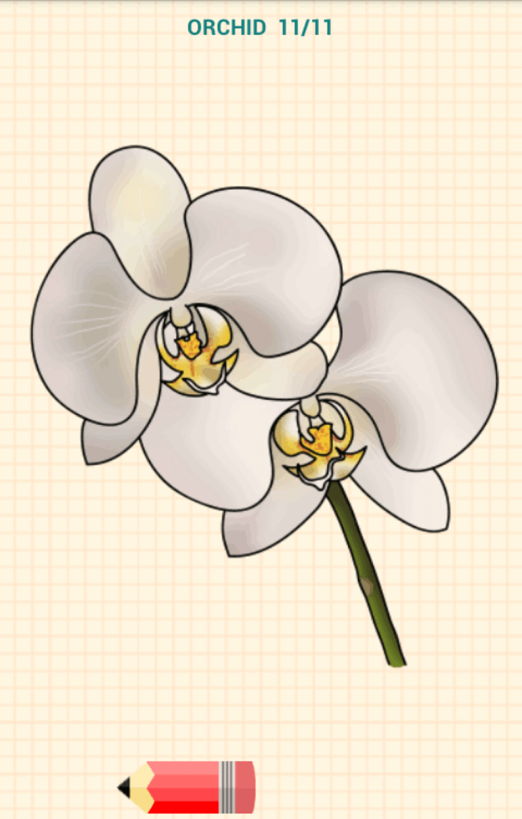 Как рисовать цветы? Пошаговые инструкции для начинающих. Фото.