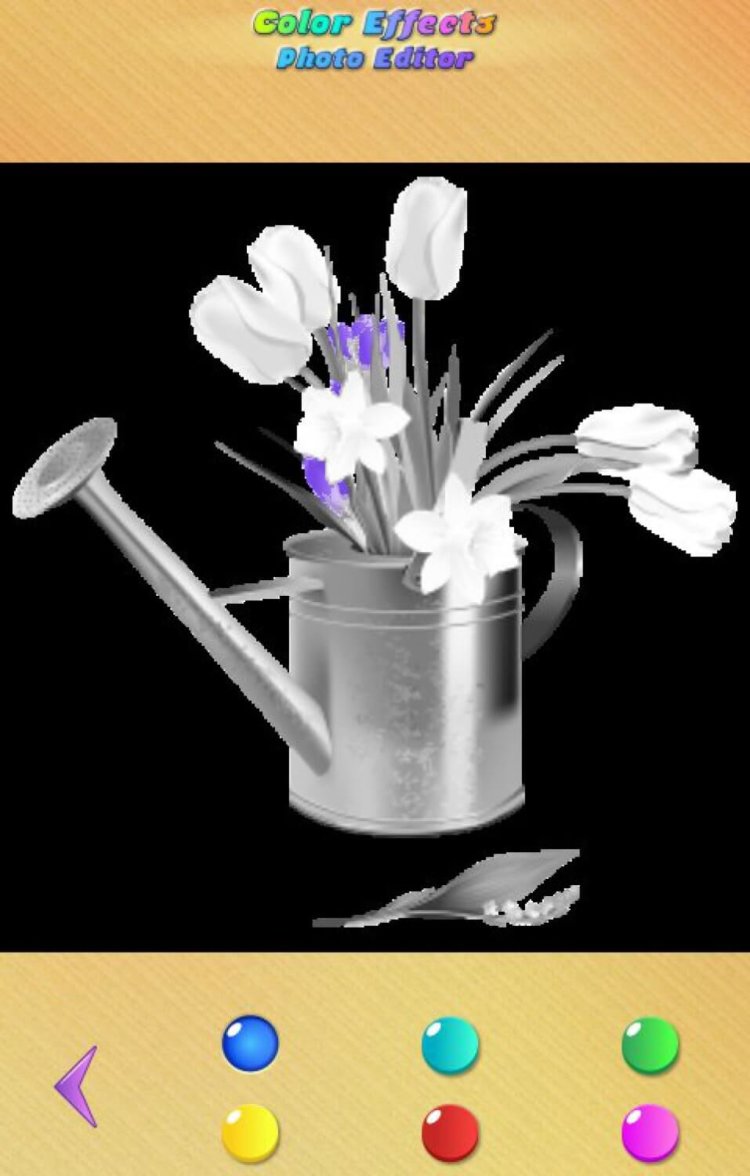 Как оставить на черно-белом фото лишь один яркий цвет? Как оставить на черно-белом фото лишь один яркий цвет? Фото.