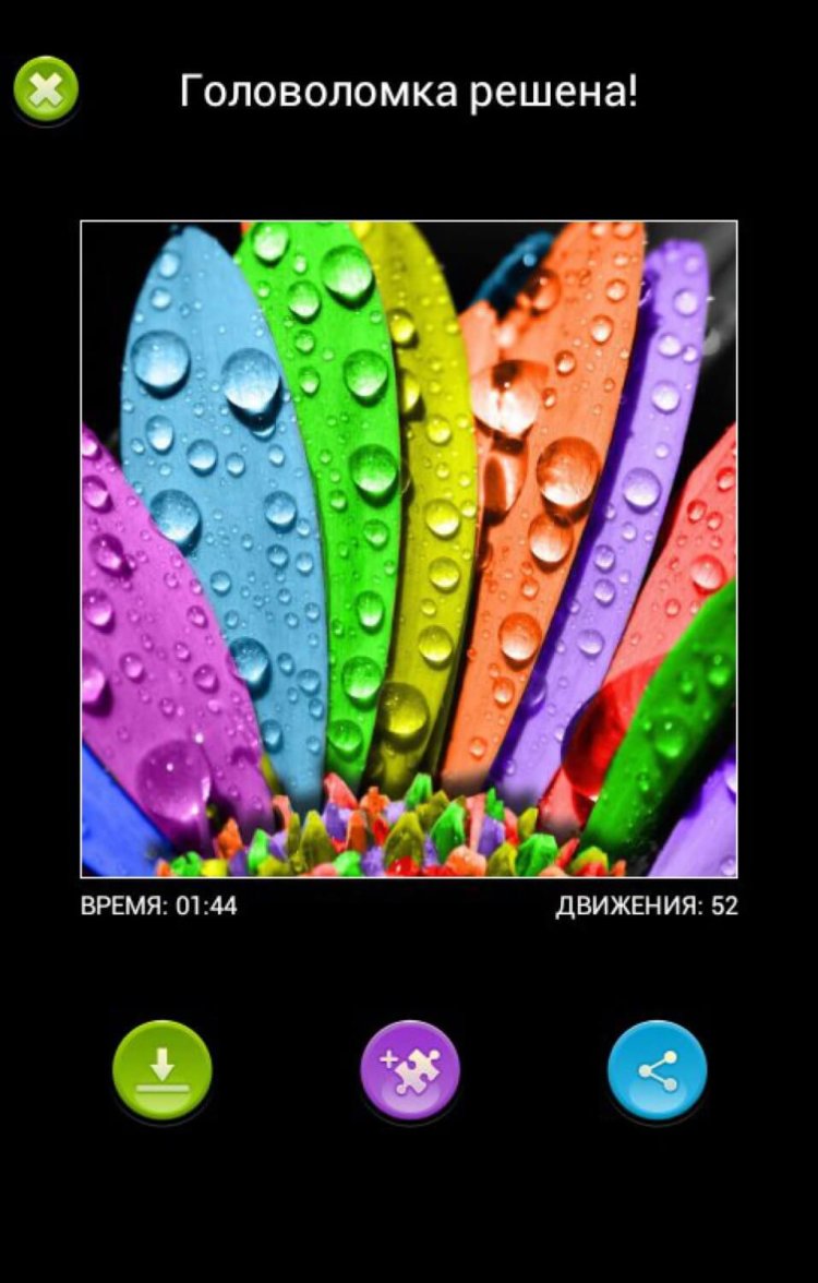 Цветочные пазлы создадут весеннее настроение. Цветочные пазлы создадут весеннее настроение. Фото.