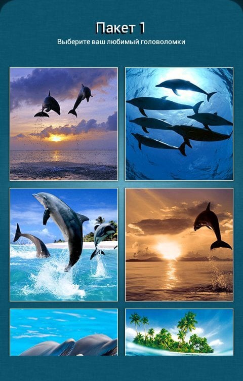 Дельфины-пазлы учат составлять картину из фрагментов. Фото.