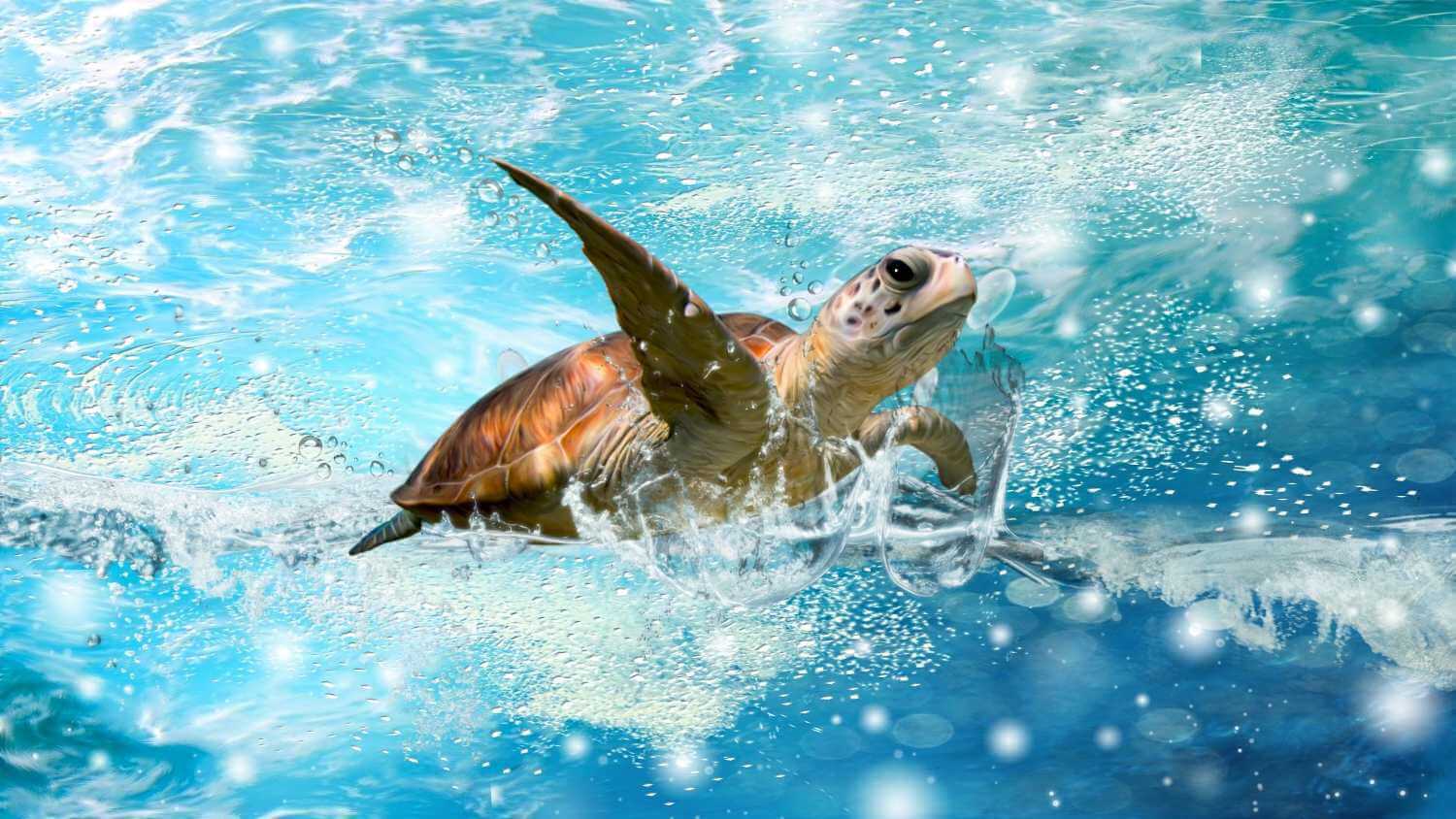 Морской черепахе нужен кислород, а не рыбы и якоря. Фото.