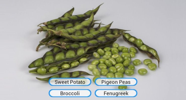 Названия фруктов и овощей по-английски для детей. Названия фруктов и овощей по-английски для детей. Фото.