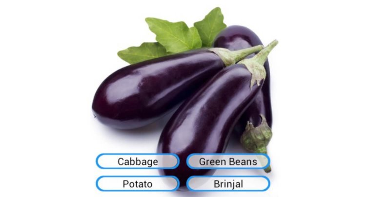 Названия фруктов и овощей по-английски для детей. Названия фруктов и овощей по-английски для детей. Фото.