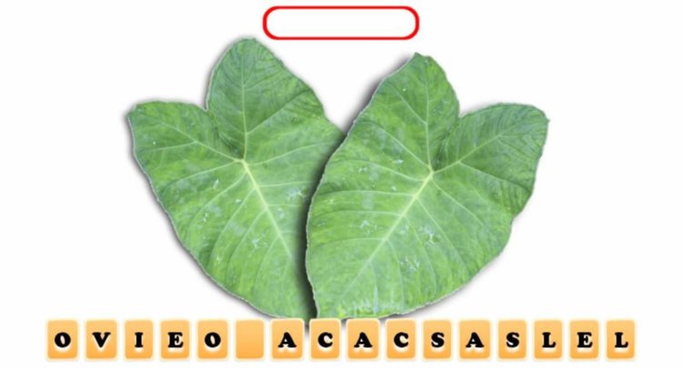 Названия фруктов и овощей по-английски для детей. Названия фруктов и овощей по-английски для детей. Фото.