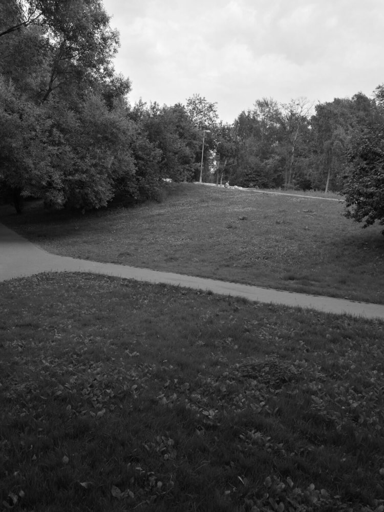 Huawei P9 Lite и P9 Plus: две стороны одной «девятки». Фото.