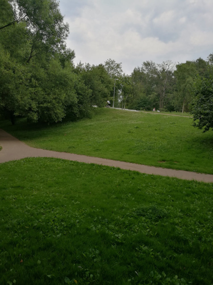 Huawei P9 Lite и P9 Plus: две стороны одной «девятки». Фото.