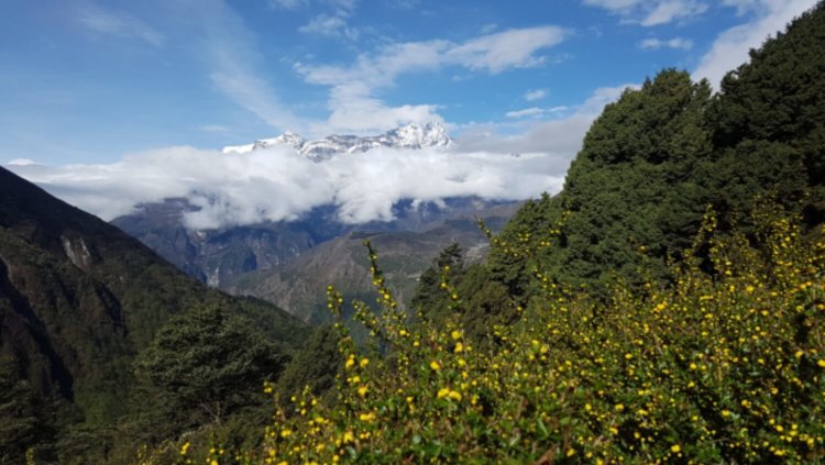 Как выглядит Эверест глазами Galaxy S7 и Gear 360? Как выглядит Эверест глазами Galaxy S7 и Gear 360? Фото.