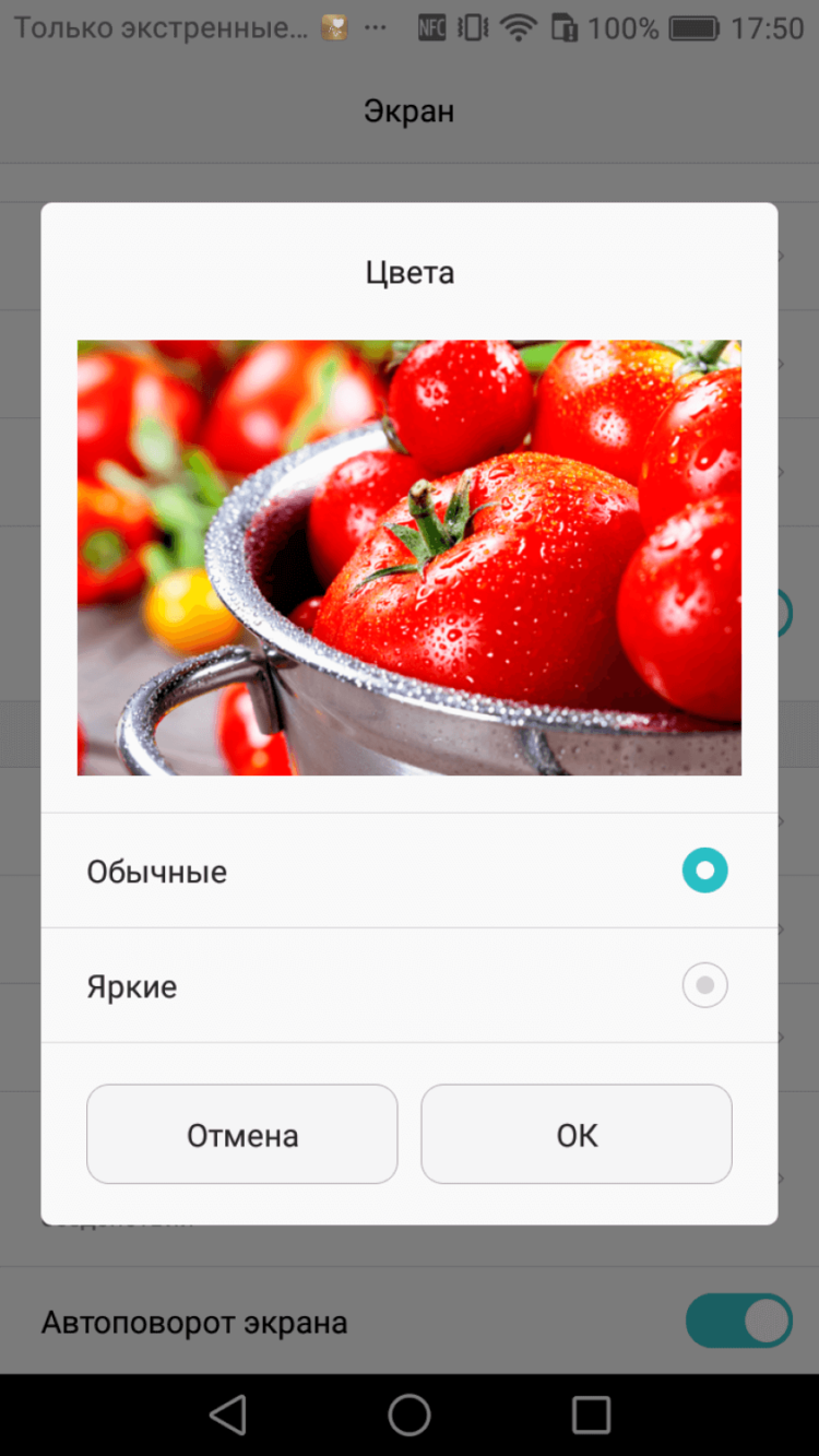 Huawei P9 Lite и P9 Plus: две стороны одной «девятки». Фото.