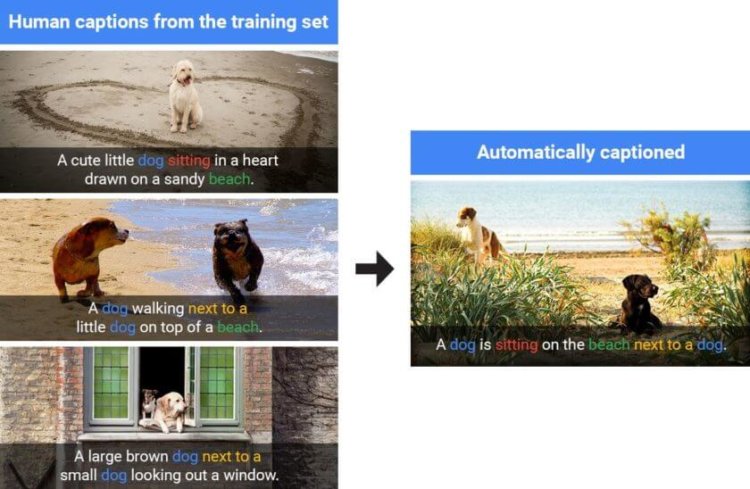 Насколько точно искусственный интеллект Google распознает объекты на фото. Фото.