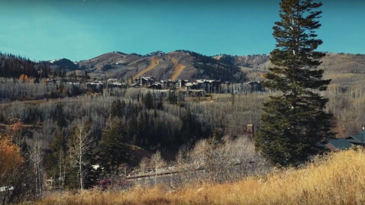 На что способна камера Google Pixel в руках профессионала? Фото.