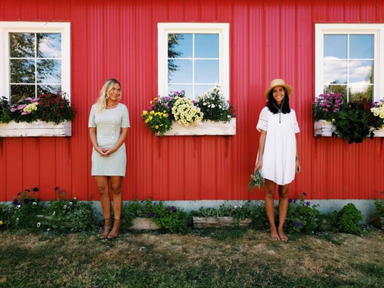 Насколько качественные снимки делает Google Pixel? Фото.