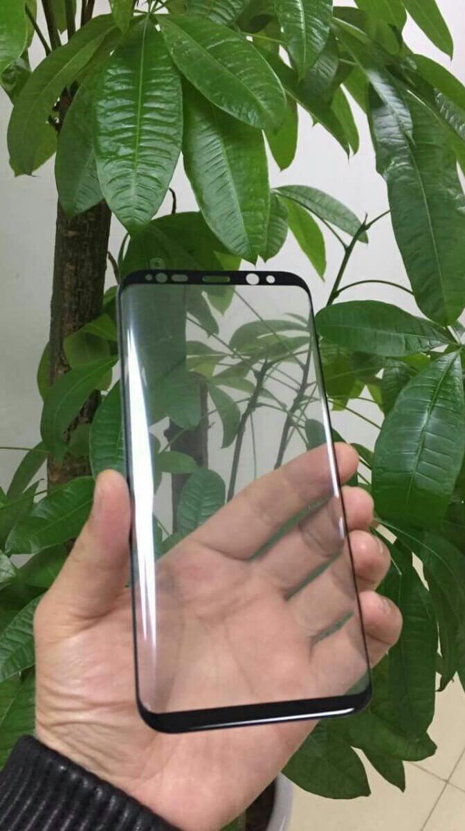 Как выглядят передние панели Galaxy S8 и S8 Plus? Как выглядят передние панели Galaxy S8 и S8 Plus? Фото.