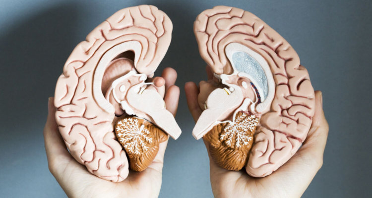 Left vs Right: Brain Training — полезная тренировка мозга. Фото.
