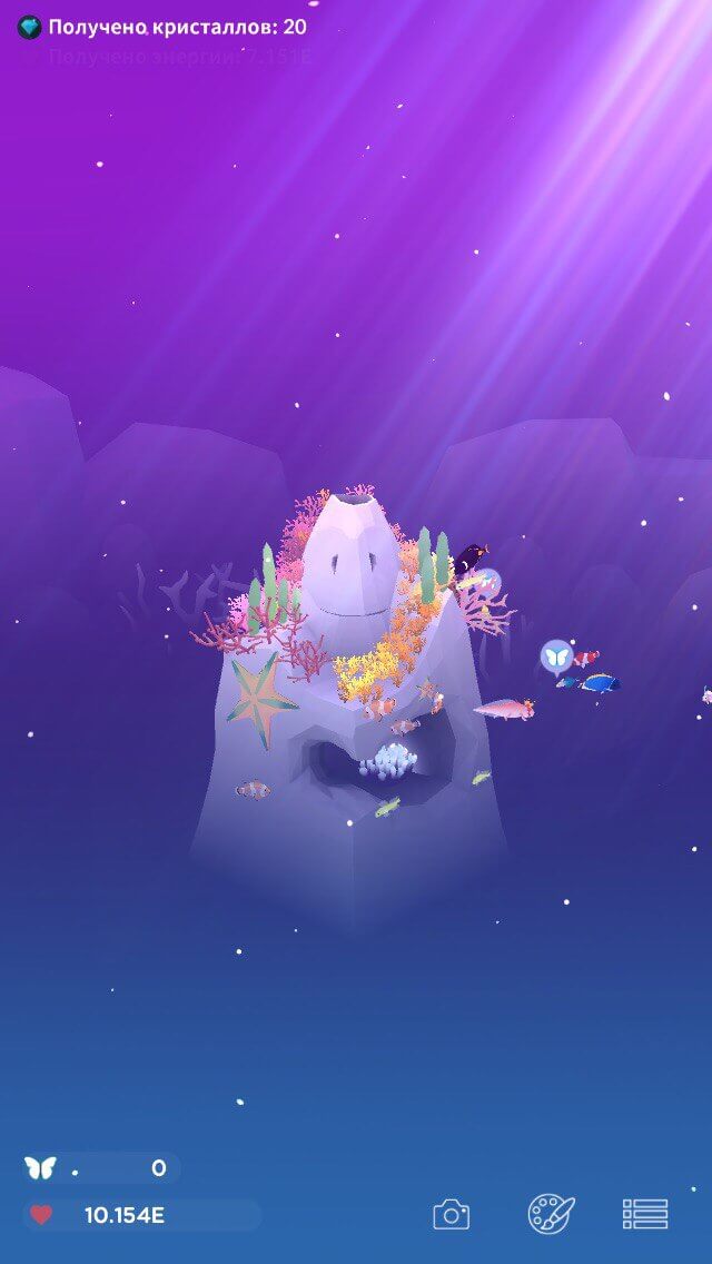 Tap Tap Fish — завораживающая энергия океана. Tap Tap Fish — завораживающая энергия океана. Фото.