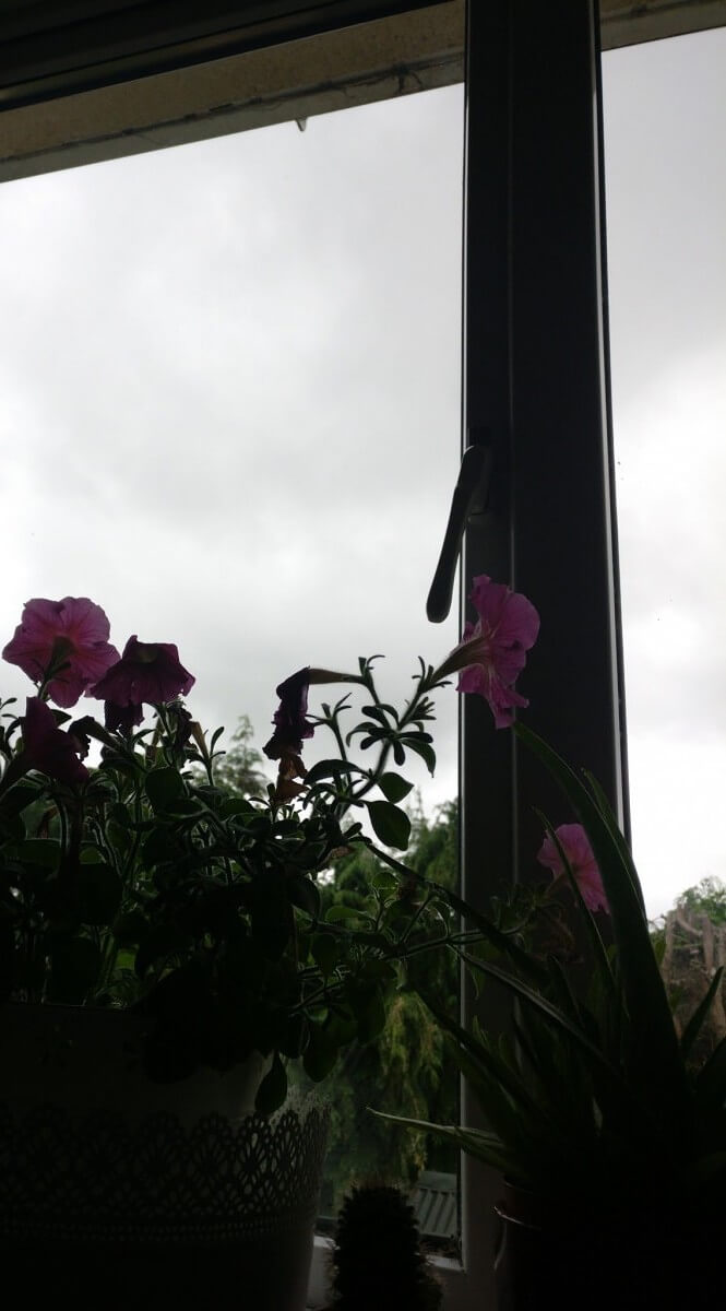 Разработчик портировал Google Camera с HDR+ на другие смартфоны. Фото.