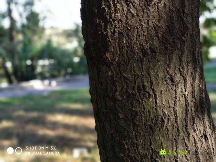 Опыт использования Xiaomi Mi 5X. Часть 3: Камера. Фото.