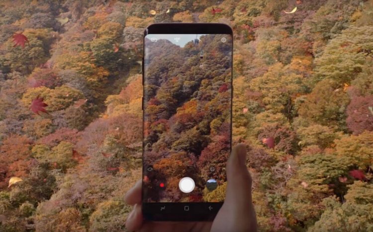 Осенний Galaxy S8. Фото.