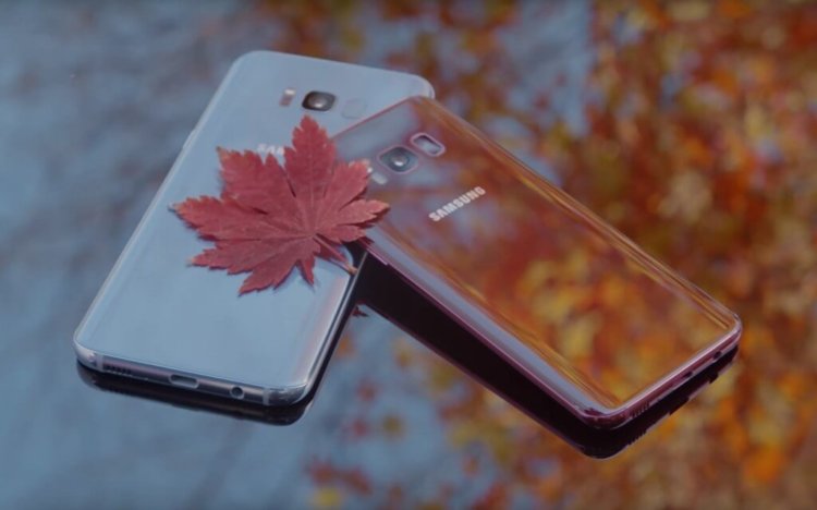 Осенний Galaxy S8. Фото.