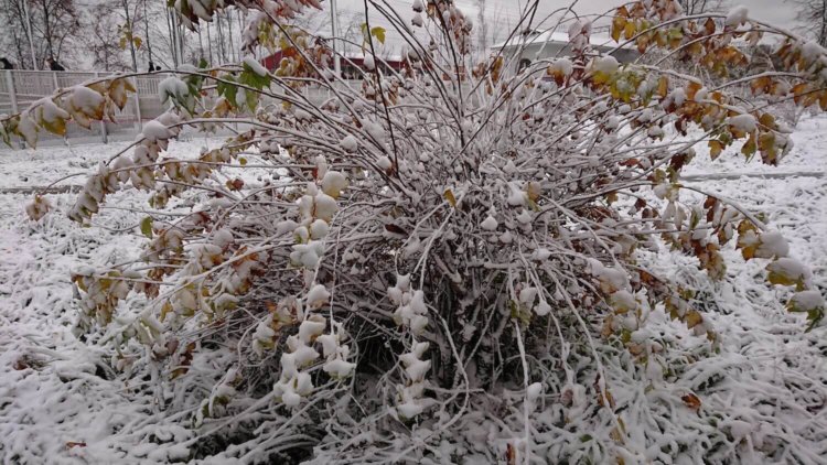 Видеообзор: Sony Xperia XZ1 — почти как Premium, но чуть-чуть попроще. Самая быстрая камера. Видеообзор: Sony Xperia XZ1 — почти как Premium, но чуть-чуть попроще. Самая быстрая камера. Фото.