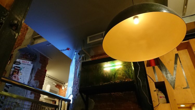 Видеообзор: Sony Xperia XZ1 — почти как Premium, но чуть-чуть попроще. Самая быстрая камера. Видеообзор: Sony Xperia XZ1 — почти как Premium, но чуть-чуть попроще. Самая быстрая камера. Фото.