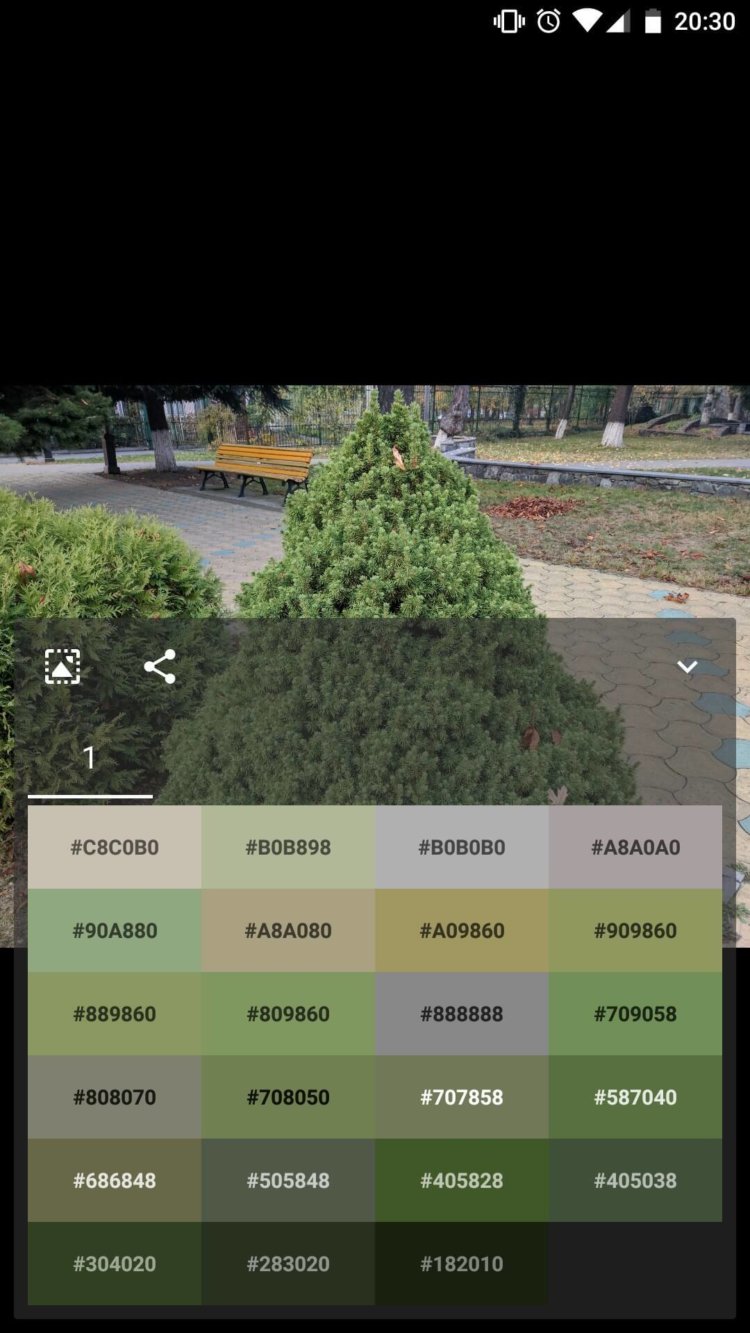 Graphice — быстрый анализ цветов картинки. Фото.