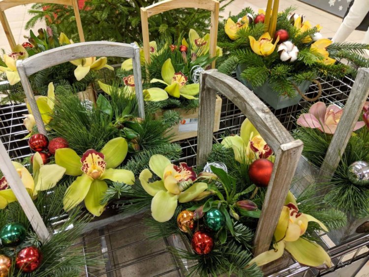 Видеообзор: Google Pixel 2 XL — самый дорогой среди равных. О камере. Видеообзор: Google Pixel 2 XL — самый дорогой среди равных. О камере. Фото.