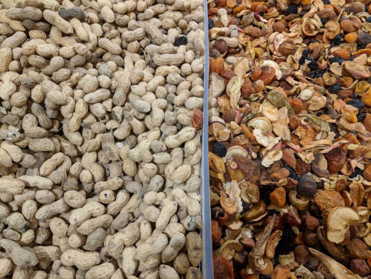 Видеообзор: Google Pixel 2 XL — самый дорогой среди равных. О камере. Видеообзор: Google Pixel 2 XL — самый дорогой среди равных. О камере. Фото.