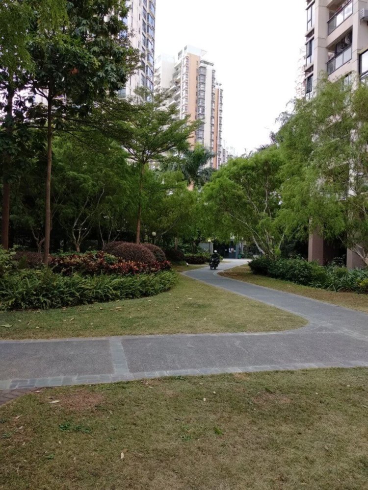 Как фотографирует Xiaomi Redmi 5 Plus. Фото.