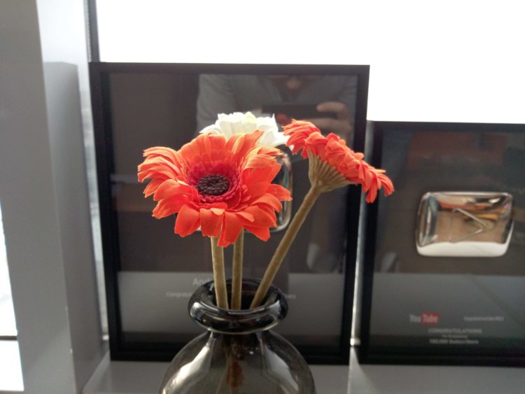 Распознавание лица за 8000 рублей: обзор смартфона BQ Advance. О камерах. Фото.