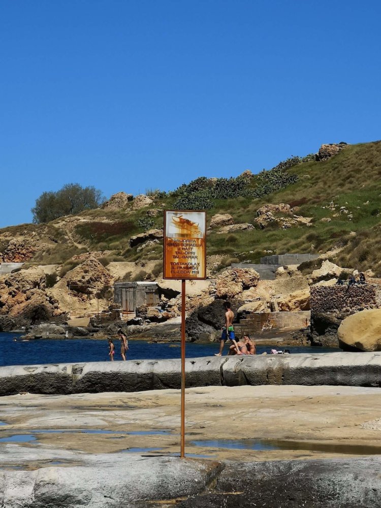 Пользователи в восторге от камеры Huawei P20 Pro. Фото.