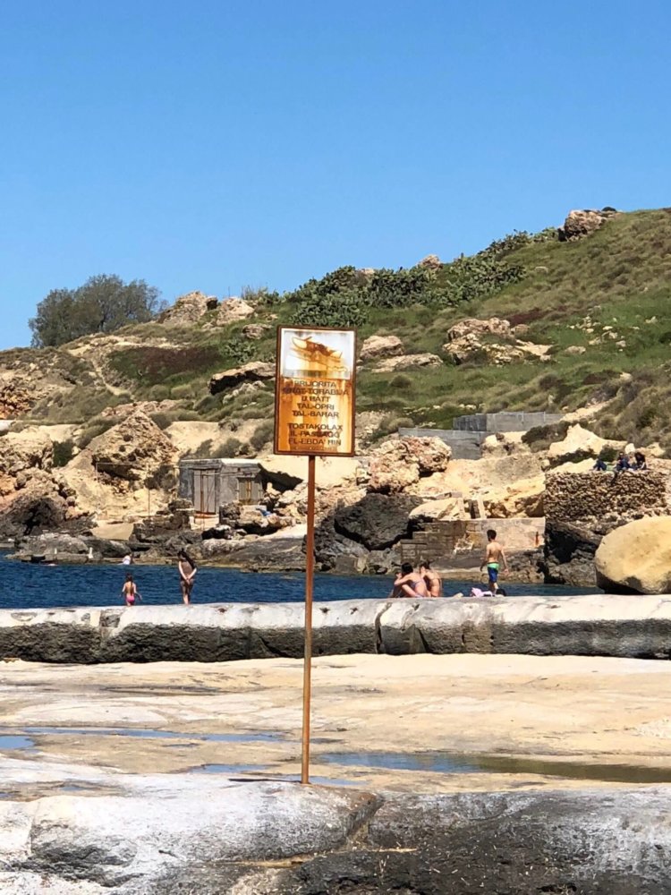 Пользователи в восторге от камеры Huawei P20 Pro. Фото.