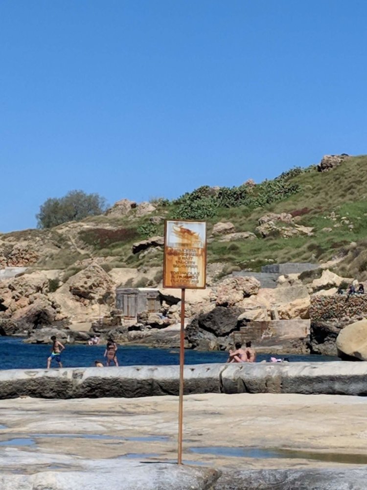 Пользователи в восторге от камеры Huawei P20 Pro. Фото.