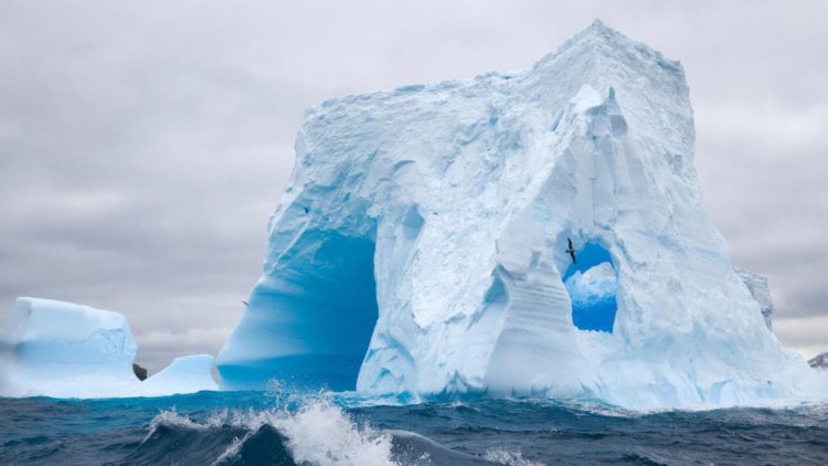 ZTE Iceberg — две экранные выемки лучше одной? Фото.