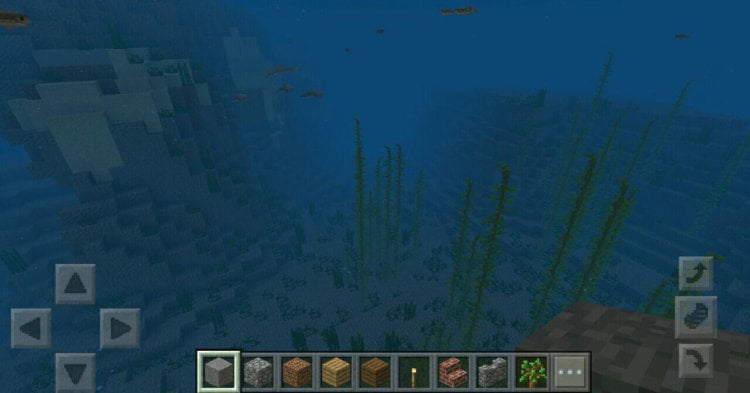 В Minecraft добавили подводный мир. Фото.