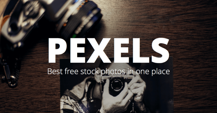 Pexels — соцсеть для настоящих фотографов. Фото.