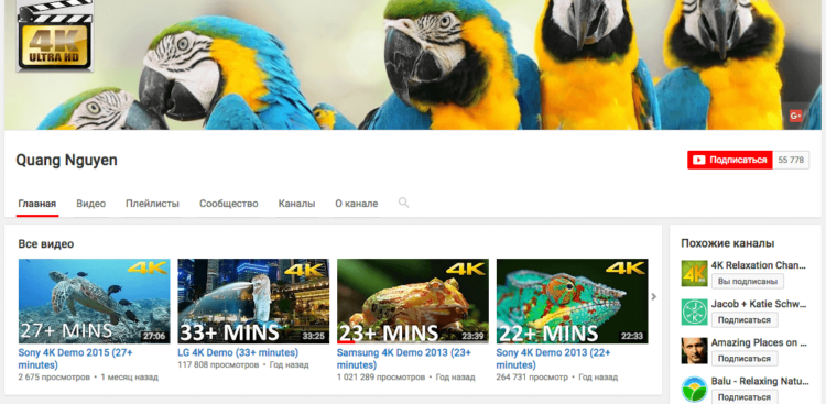 5 YouTube-каналов, которые порадуют глаз. Природа и не только. Фото.