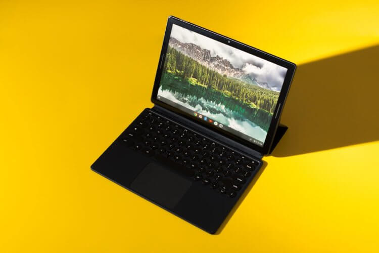 Может ли Chromebook заменить обычный ПК на Windows? Фото.