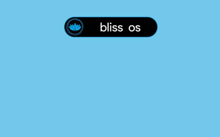 Операционка Bliss для ПК создана на базе Android Pie и даже позволяет скачивать приложения из Google Play. Фото.