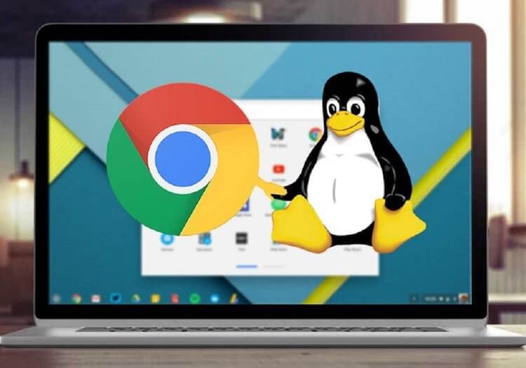 Google работает над ARCVM, новым способом запуска Android-приложений в Chrome OS. Linux на Chrome OS — не та же самая Linux. Фото.