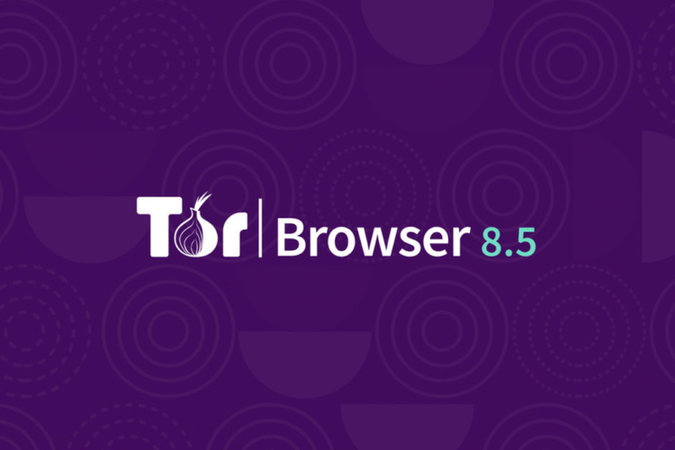 Анонимность через тор браузер tor browser apk download гидра