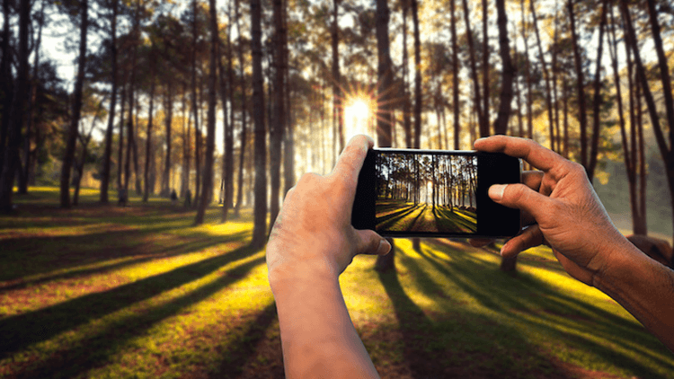 Эти трюки помогут улучшить качество снимков, сделанных на камеру вашего смартфона. Фото.