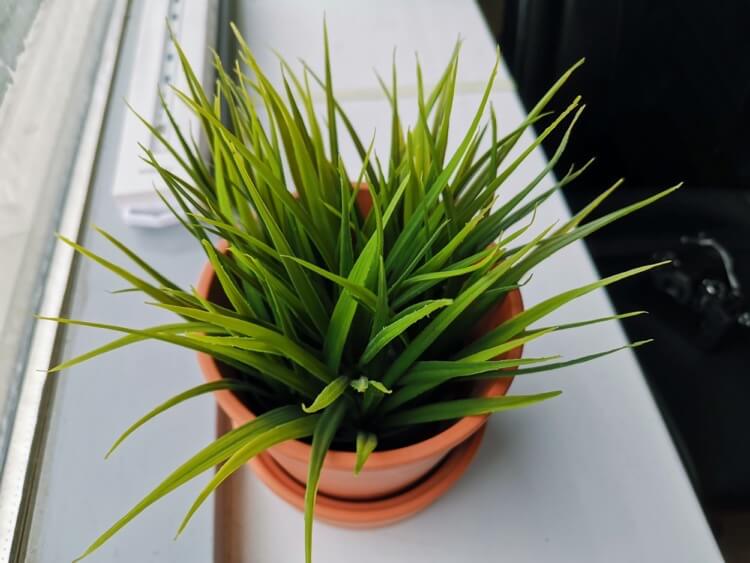 Honor 20 — теперь правильная цена.. Камера.. Фото.