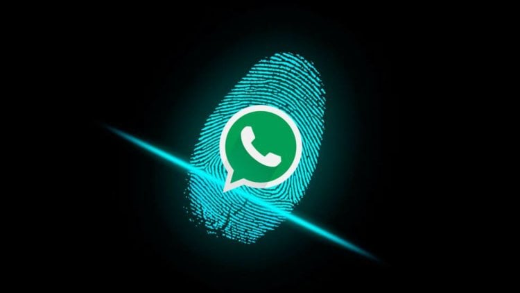 В WhatsApp для Android появилась защита отпечатком. Как включить. Переписку в WhatsApp стоит защищать. Лучше всего сделать это при помощи отпечатка. Фото.