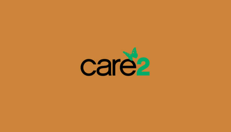 Лучшие альтернативы Твиттеру. Care2 — Сделайте мир лучше. Фото.