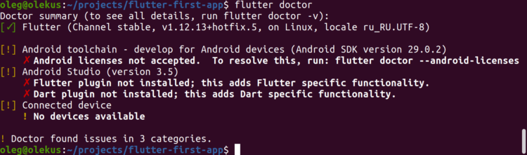 Разрабатываем первое мобильное приложение на Flutter от Google. Фото.