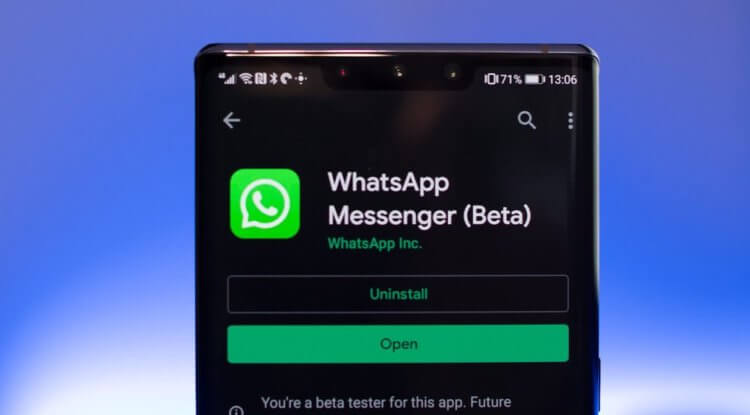 Где скачать бету WhatsApp. Пока ночная тема доступна только в бета-версии WhatsApp. Фото.