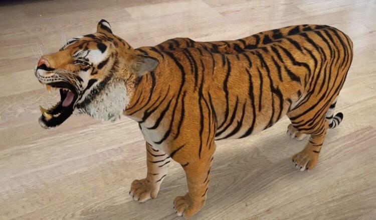 real ar tiger