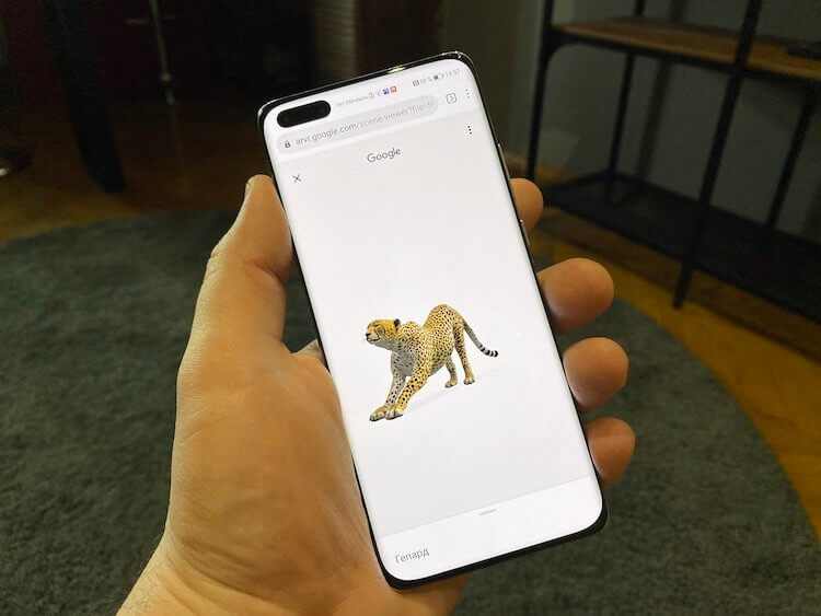 Как смотреть животных в 3D на телефоне. Так животных не посмотришь. Это Huawei P40 Pro и он не поддерживается сервисом. Фото.