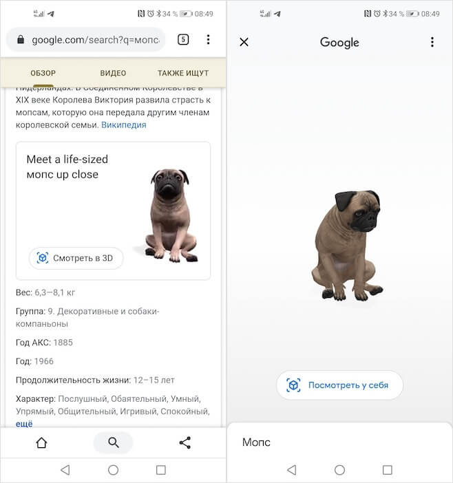 Как снять 3д животных в Google на видео. Как смотреть животных в 3Д из Google. Фото.