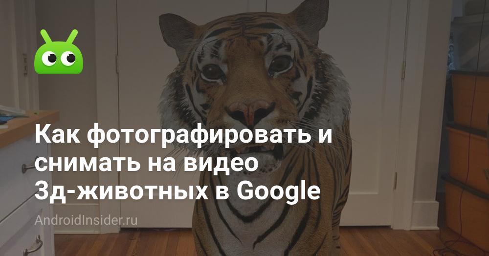 كيفية التقاط صور ومقاطع فيديو للحيوانات ثلاثية الأبعاد على Google 28